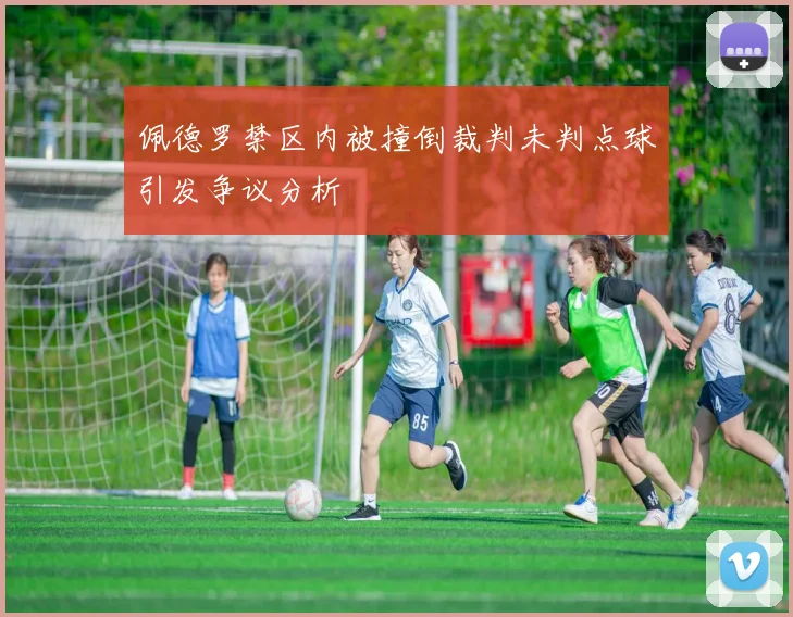 佩德罗禁区内被撞倒裁判未判点球引发争议分析